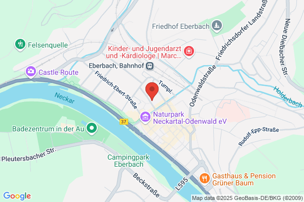 Odenwald Treuhand GmbH