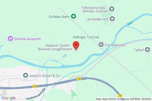 Jungpflanzen Natterer GmbH