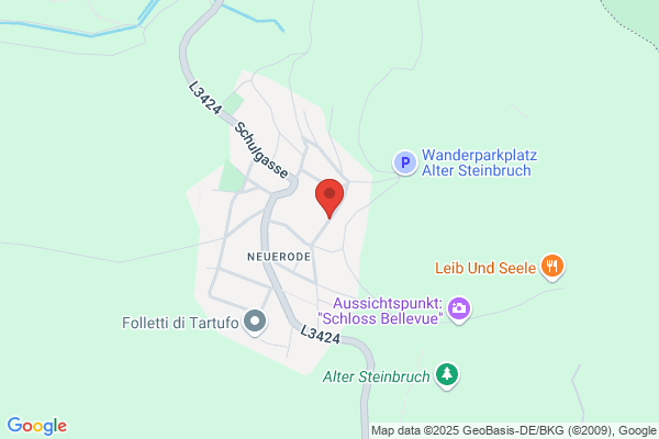Meerschweinchenzucht und Betreuung