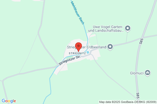 Ilke Striegnitz
