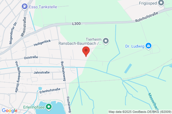 Schwalb