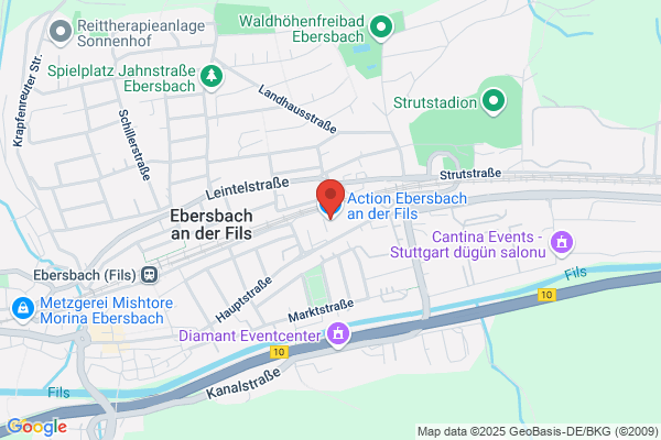 Action Ebersbach an der Fils