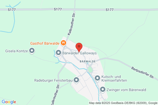 Gerolf Ziesche