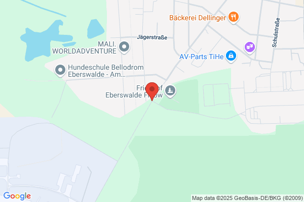 EberMedia