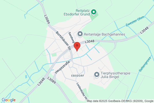 Pandea GmbH