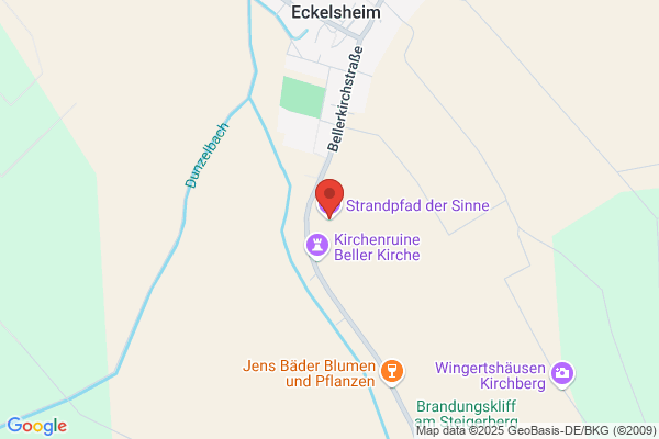 Wöllsteiner Reisebüro