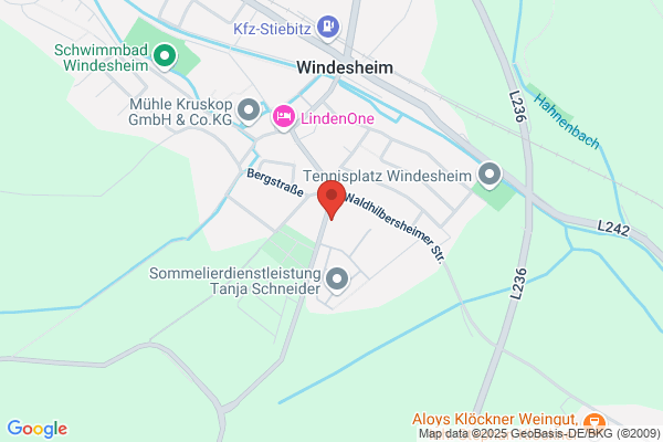 Handschuh Immobilien