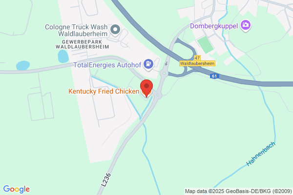 Kentucky Fried Chicken