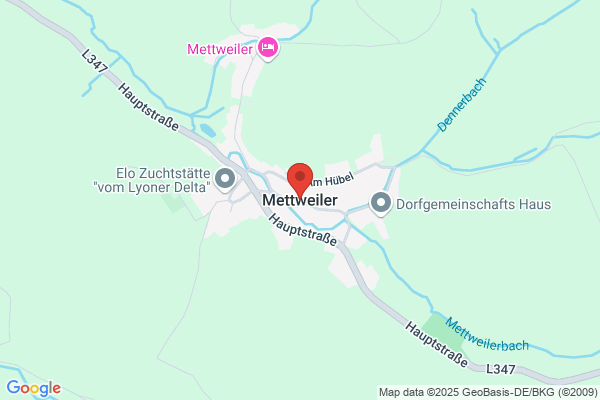 Ortsgemeinde Ortsbürgermeister