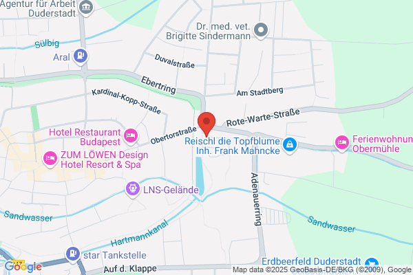 Hollenbach-Stiftung