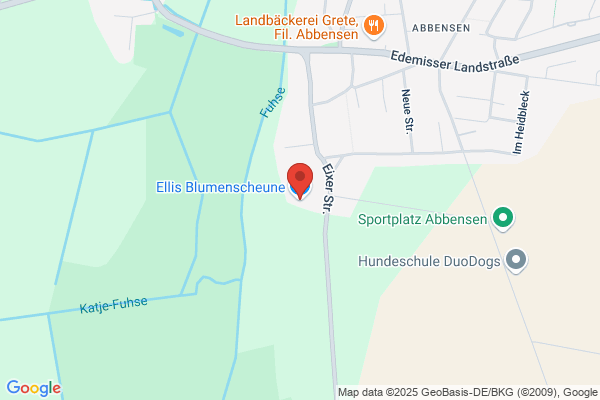 Ellis Blumenscheune