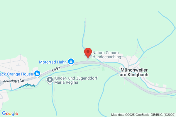 Hundetraining Natura Canis