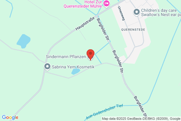Sindermann Pflanzen