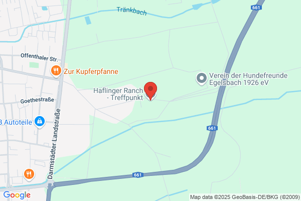 Zur Pferdetränke