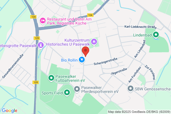 Bundespolizeiinspektion