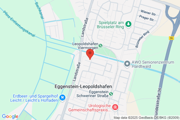 turnraum Yoga- und Bewegungsstudio