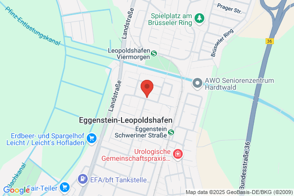Steinmeier Naturheilpraxis