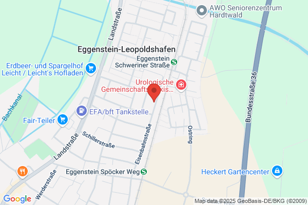 Transanimal Karlsruhe Verlag