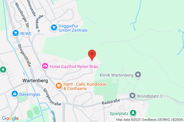 Brandl GmbH Kfz-Meisterbetrieb, R.