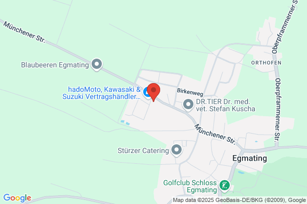 Saurer Gerfried