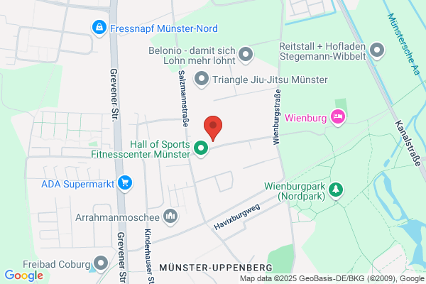Hengst