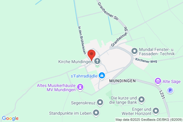 Freudenthaler Industriekranservice GmbH & Co. KG