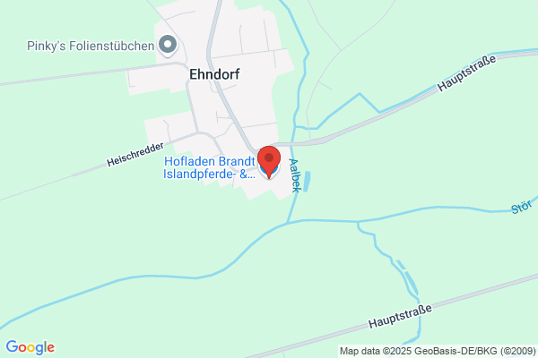 Theodor Goebel