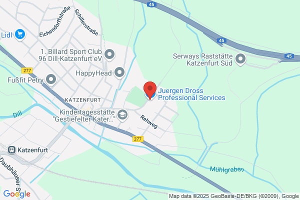 Dross Professional Services GmbH