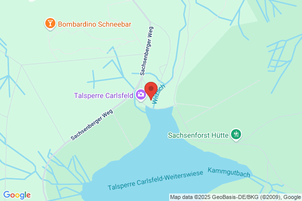Zweckverband Fernwasser Südsachsen, Wasserwerk Carsfeld
