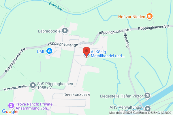 König
