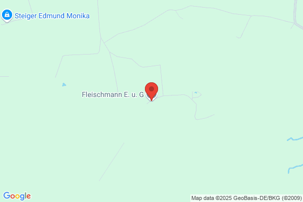 E. Fleischmann, G. Fleischmann