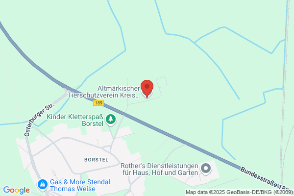 Tierheim Stendal Borstel