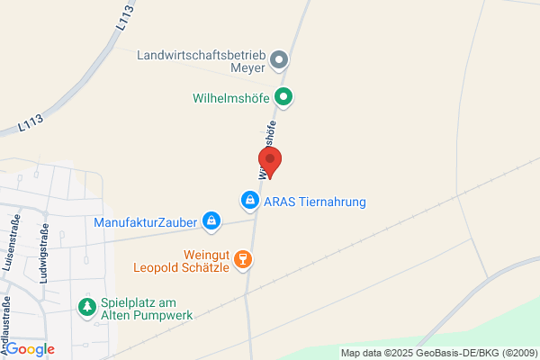 PMG Management GmbH