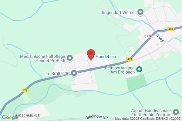 Onlineshop für Orthopädische Hundebetten