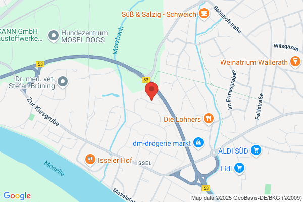 Karin Braun