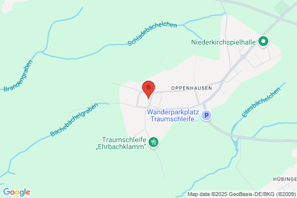 Niesen Feuerschutz