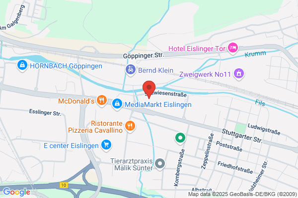 World Ju Jitsu Federation Gruppe Deutschland