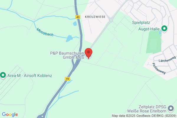 P & P Dienstleistungs GmbH & Co. KG