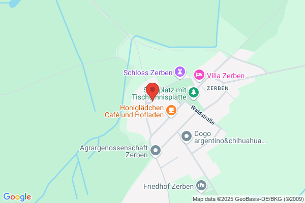 Gottfried Fritze