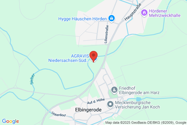 Raiffeisen Enovia GmbH & Co. KG - Tankstelle Elbingerode