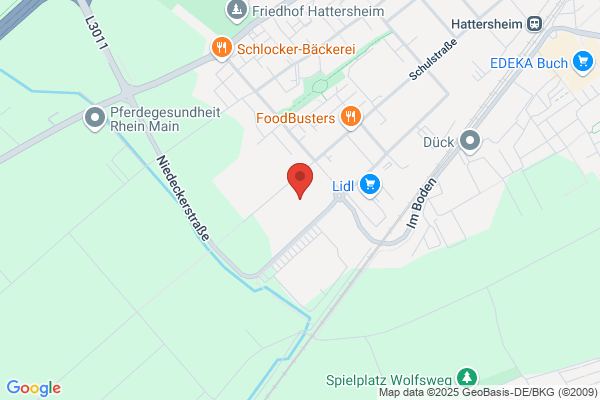 Baumarktforschung Deutschland GmbH