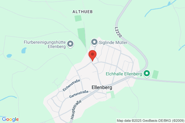 Airport Obstacle Management GmbH