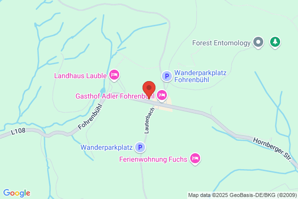 Schwanen