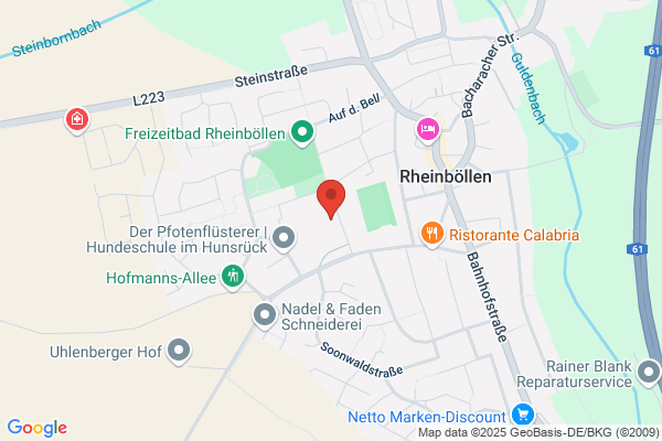 Puricellischule Regionale Schule