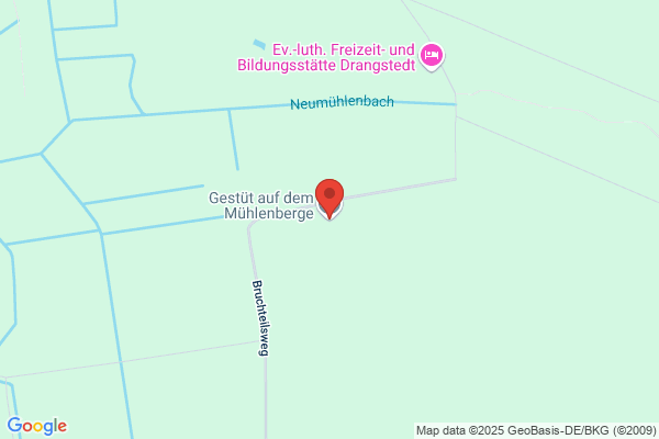 Gestüt auf dem Mühlenberge Inh. Dr. G. und U. Strecker