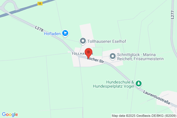 Blumen & Geschenke Remus
