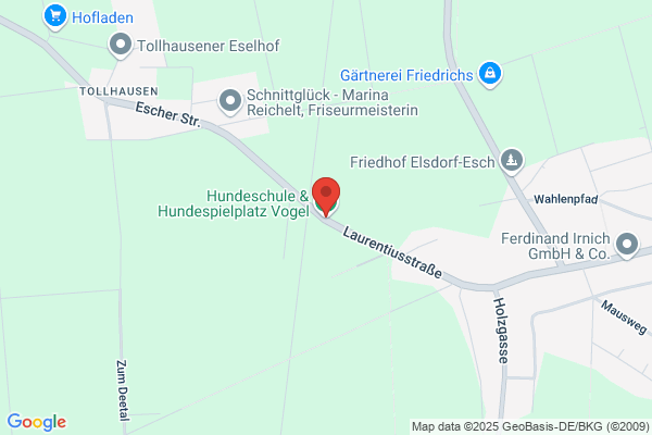 Hundeschule & Hundespielplatz Vogel