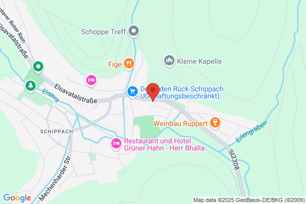 Günther Franz