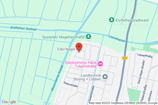 Edel-Nägel