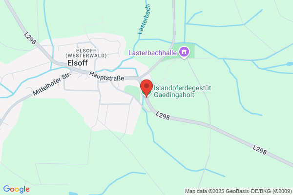 Islandpferdegestüt Gaedingaholt
